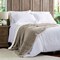 Hastings Home Faux Fur Jacquard Throw Blanket, Luxurious, Soft, Hypoallergenic with Sherpa Back, 60"x 70" (Coffee) 399294HSX - alternate 2